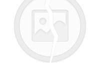被猫抓了会怎么样，被猫抓了会怎么样出了一点血